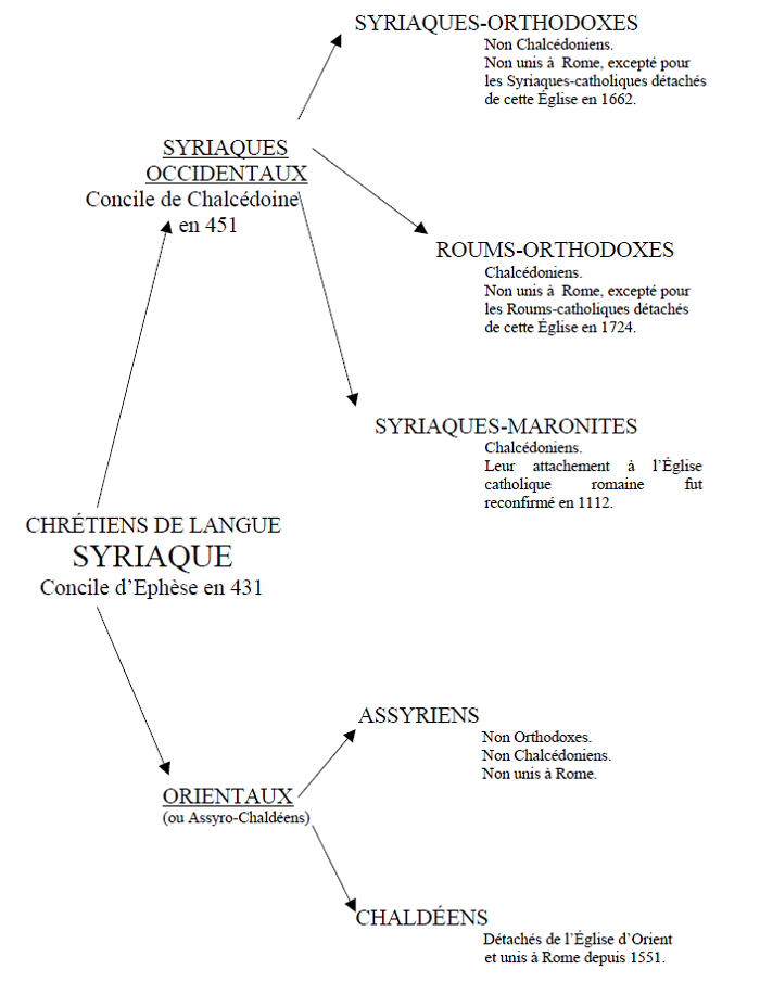 Tree of the Syriac churches: Western (Syriac Orthodox, Rum Orthodox, Maronites) and Eastern (Assyrians, Chaldeans)